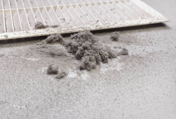 Best Ductwork Cleaning Services  in Ludowici, GA