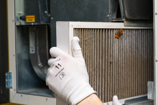 Best Emergency Air Duct Cleaning  in Ludowici, GA